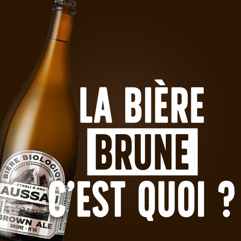 biere-brune-c-est-quoi-aussau-article-blog