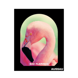 bad-flamingo-poster-aussau-affiche-50x70