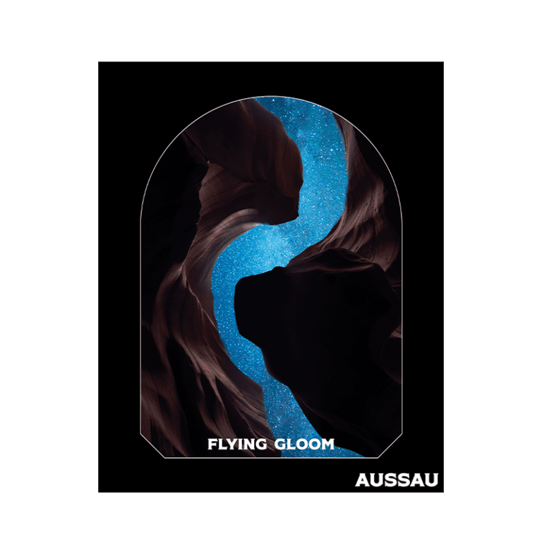 flying-gloom-poster-aussau-affiche-50x70