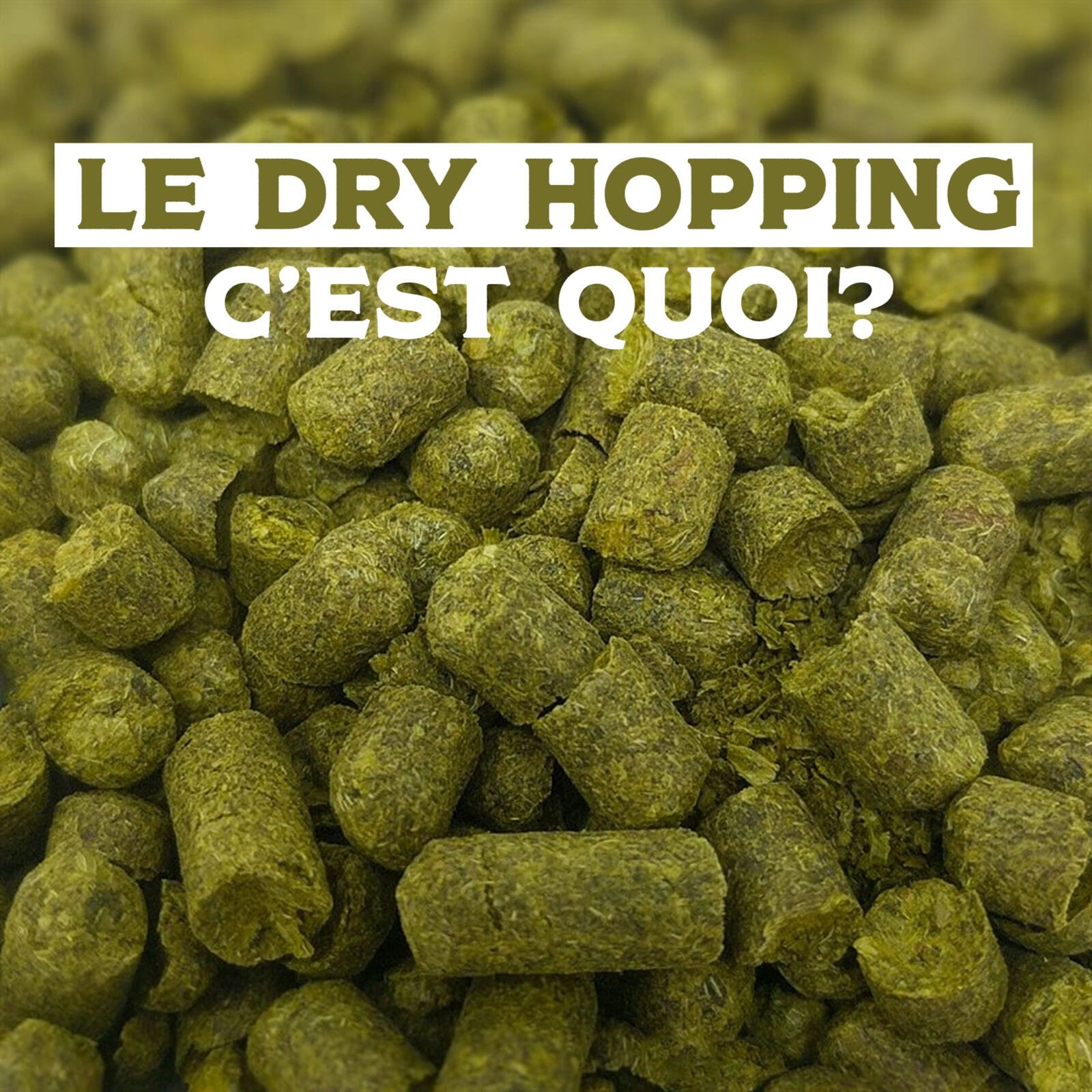 le-dry-hopping-c-est-quoi-explications-aussau