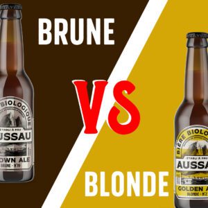 biere-blonde-biere-brune-differences